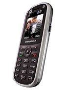 Best available price of Motorola WX288 in Mauritania