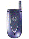 Best available price of Motorola V66i in Mauritania