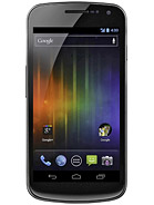 Best available price of Samsung Galaxy Nexus I9250 in Mauritania